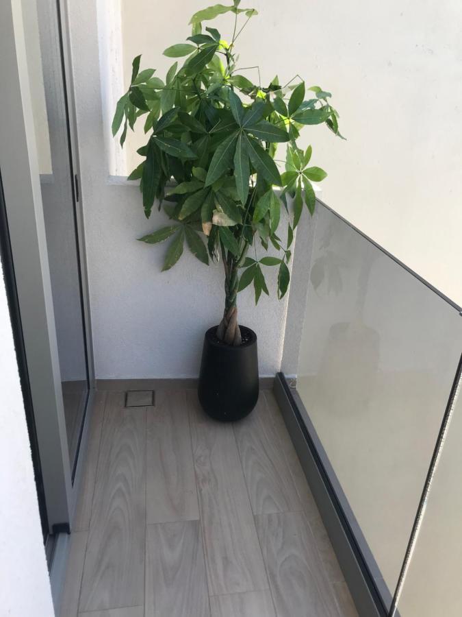 פליאוחורה Casbah Boutique Hotel מראה חיצוני תמונה